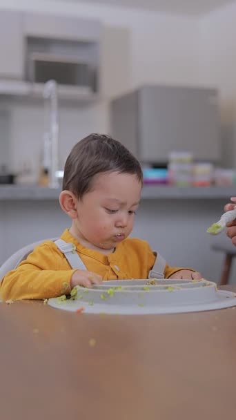 Mãe Boca Alimenta Seu Bebê Com Uma Colher Prato Silicone — Vídeo de Stock