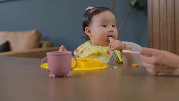 Memberi Makan Bayi Secara Komplementer Seorang Bayi Makan Dari Piring — Stok Video