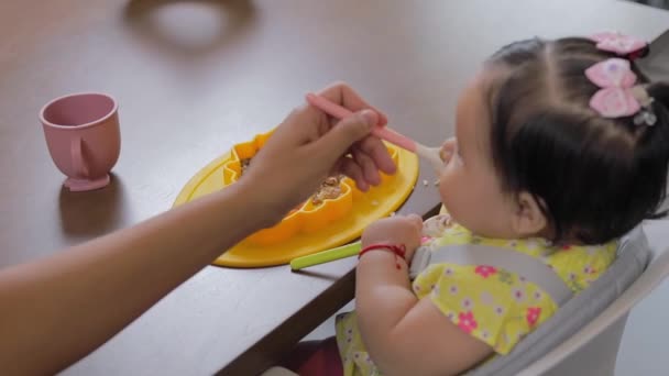 Pandangan Belakang Bayi Yang Diberi Makan Sendok Bayi Memimpin Konsep — Stok Video