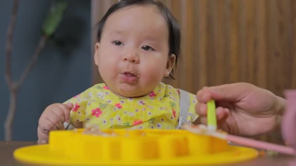 숟가락으로 어머니가 먹이는 아기의 보완적 — 비디오
