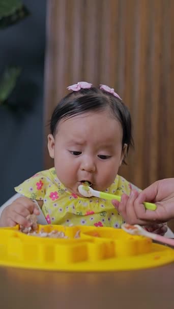Alimentação Complementar Uma Menina Que Está Sendo Alimentada Com Colher — Vídeo de Stock