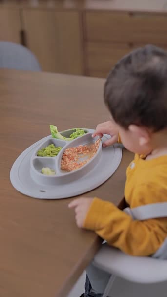 아이가 그것에서 음식과 접시의 아기는 개념을 — 비디오