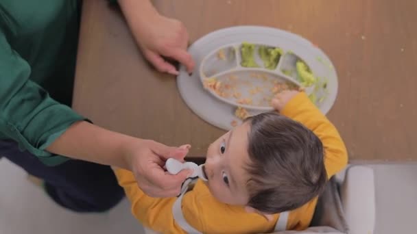 집에서 테이블에서 자신의 손으로 먹고있는 아이의 접시의 아기의 보완적인 — 비디오
