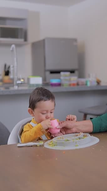 Mamá Dándole Agua Bebé Con Una Taza Silicona Alimentación Complementaria — Vídeos de Stock