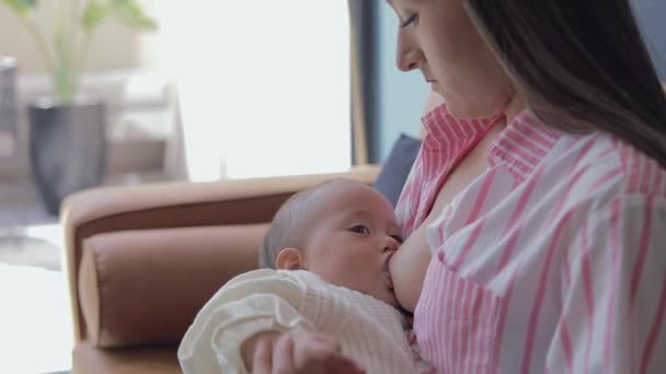 Großaufnahme Eines Babys Das Milch Aus Der Brust Seiner Mutter — Stockvideo
