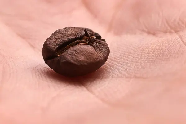 Coffee bean in the palm. Macro photography. Skin texture
