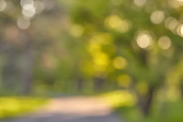 Bulanık yeşil yapraklar, bokeh etkisi