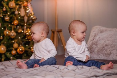 Malishi ikizleri Noel ağacının altında oturur ve farklı yönlere bakarlar. Yeni yıl havası.