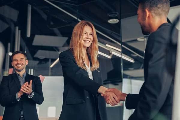 Business Male Partnership Handshake Successful Deal Meeting — Photo