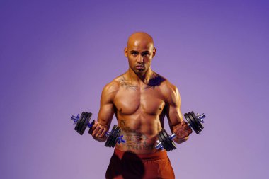 Muscular man doing exercise with weight dumbbells on studio background with color filter