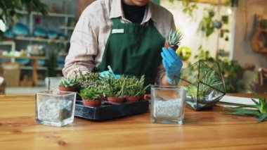 Professional woman florist takes care of seedlings in floral studio. High quality 4k footage