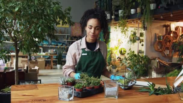 Professionell Kvinna Florist Tar Hand Plantor Blomsterstudio Högkvalitativ Film — Stockvideo