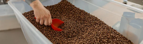 Close Baristas Hands Packing Roasted Coffee Beans Packages Sale Warehouse Stock Photo