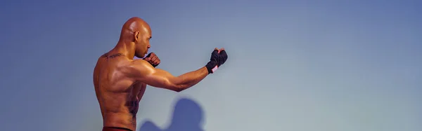 Professional Kickboxer Training Practicing Punch Studio Background Color Filter — Foto de Stock
