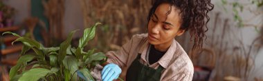 Woman gardener taking care about plant in flowerpot in floral studio. High quality photo