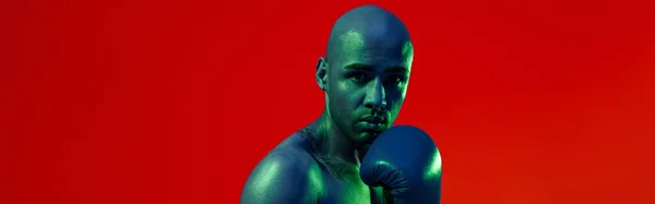Man Wearing Boxing Gloves Practicing Fight Studio Background Color Filter — Stock Fotó