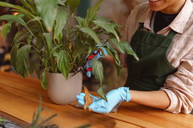 Çiçek atölyesinde çiçekçiyle ilgilenen önlüklü bir kadın. Yüksek kalite fotoğraf
