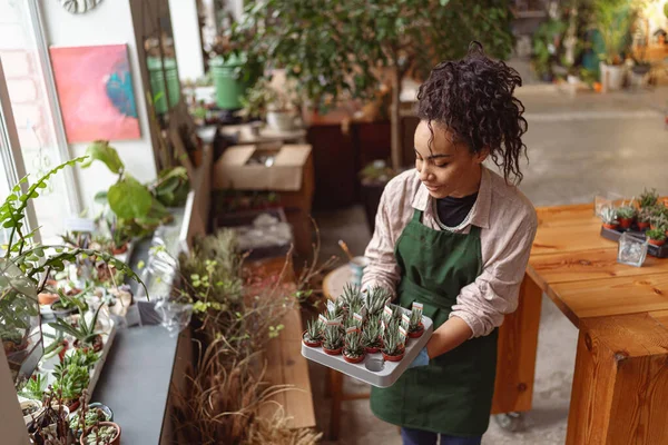 Wanita Penjual Bunga Mengurus Bibit Studio Bunga Latar Belakang Kabur — Stok Foto