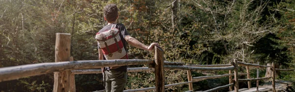 Rear Man Traveler Backpack Standing Bridge River Forest Trekking Mountains — 图库照片