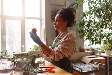 Woman florist takes care of seedlings in floral studio. Blurred background. High quality photo