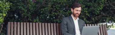 Business man office worker working on urban park background using laptop. Blurred background