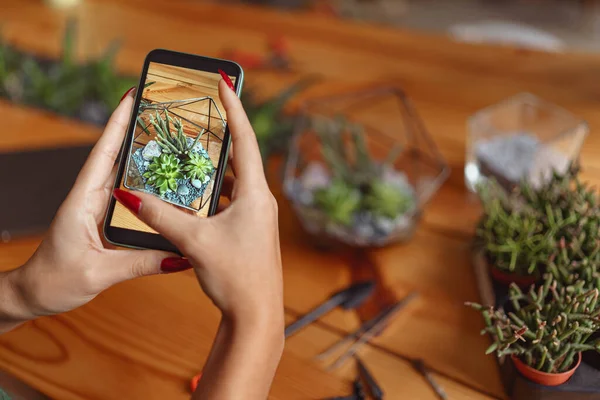 stock image Close up of florist taking picture with her plants in own florar studio 