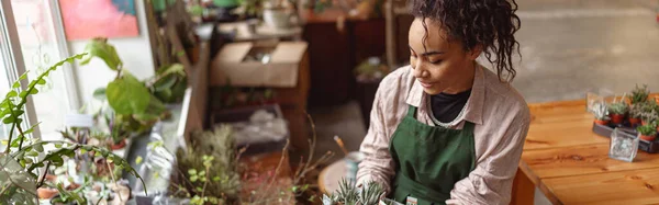 Woman Florist Takes Care Seedlings Floral Studio Blurred Background High — Stok Foto