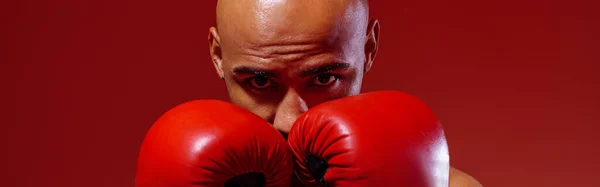 ボクシングの手袋を身に着けている男は カラーフィルターとスタジオの背景で戦うために練習 — ストック写真