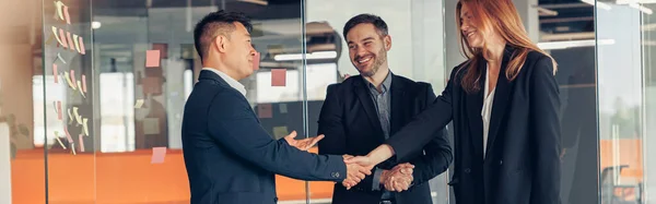 Business Male Partnership Handshake Successful Deal Meeting — Foto Stock