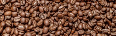 Kahverengi kahve çekirdekleri ya da Arabika kahve bitkisinin tohumları