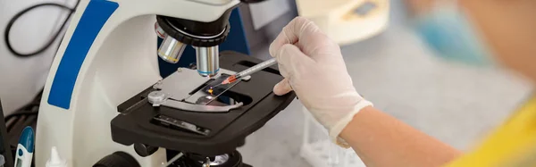 Laboratuvar Asistanının Klinik Veteriner Laboratuarında Mikroskop Altında Hayvan Biyomateryali Örnekleri — Stok fotoğraf
