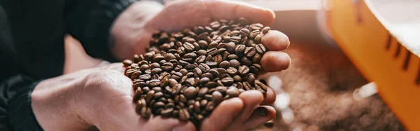 Mästaren Kontrollerar Kvaliteten Rostning Kaffebönor Liten Fabrik Närbild Högkvalitativt Foto — Stockfoto