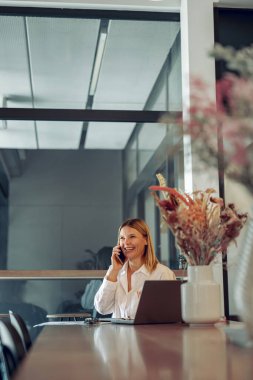 Bilgisayarda çalışan gülümseyen iş kadını rahat bir ofiste oturmuş telefonla konuşuyor. 