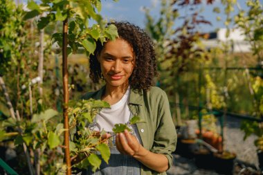 Pozitif kadın bahçıvan bahçe merkezinde çalışırken bitkilerle ilgilenir. Yüksek kalite fotoğraf