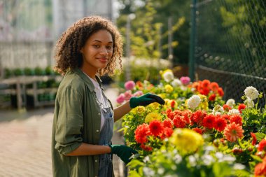Sera bahçesinde dikilirken bitkilerle uğraşan profesyonel kadın bahçıvan.