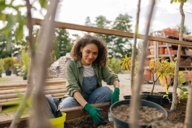 Dişi çiçekçi çiçek nakli yapar ve çiçekçide saksılarla ilgilenir. Yüksek kalite fotoğraf
