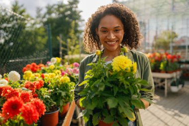 Sera arka planında dikilirken elinde saksı tutan profesyonel kadın bahçıvan.