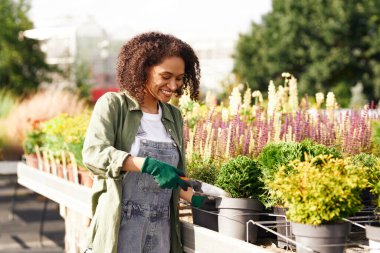 Profesyonel kadın bahçe işçisi bitki nakli yapıyor ve botanik dükkanındaki saksılarla ilgileniyor.