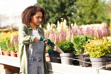 Profesyonel kadın bahçe işçisi bitki nakli yapıyor ve botanik dükkanındaki saksılarla ilgileniyor.