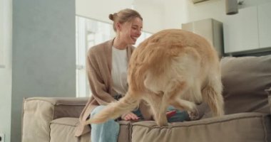 Genç bir kadın, parlak, modern bir oturma odasında rahat bir kanepede otururken Golden Retriever 'ına sevgisini göstermek için eğiliyor. Gerçek bir bağ ve nazik bir etkileşim yakaladığı an