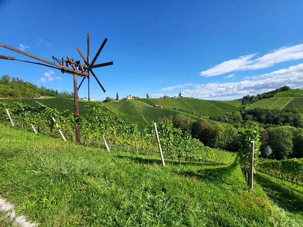 Rakousko Vinice Strmých Svazích Sulm Valley Nachází Štýrské Vinařské Stezce — Stock fotografie
