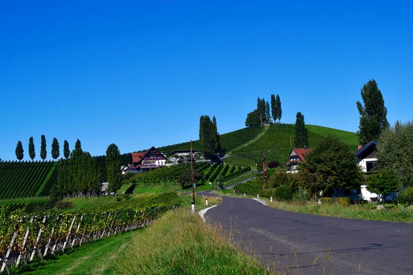 Autriche Vignobles Sur Les Pentes Escarpées Vallée Sulm Situés Sur — Photo