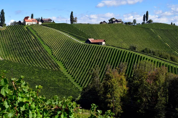 Avusturya Slovenya Sınırına Yakın Styrian Şarap Rotasında Yer Alan Sulm — Stok fotoğraf