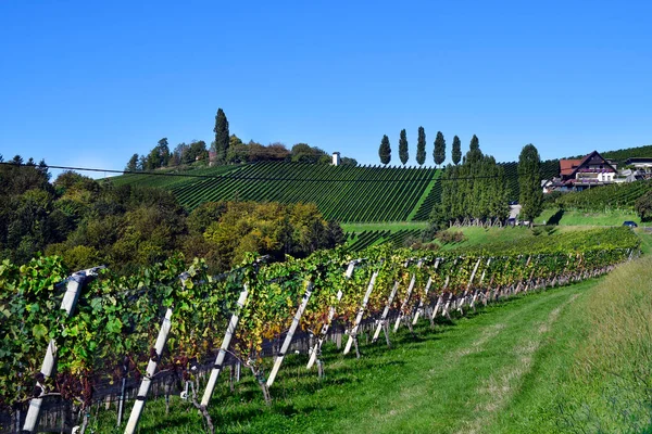 Rakousko Vinice Strmých Svazích Údolí Sulm Nachází Štýrské Vinařské Trase — Stock fotografie