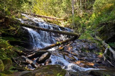 Avusturya, Batı Styria 'daki Weisse Sulm Nehri' nin doğal şelalesi, Koralm Kristall Yolu 'nun bir parçası.,