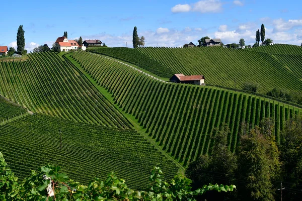 Avusturya Slovenya Sınırına Yakın Styrian Şarap Rotasında Yer Alan Sulm — Stok fotoğraf