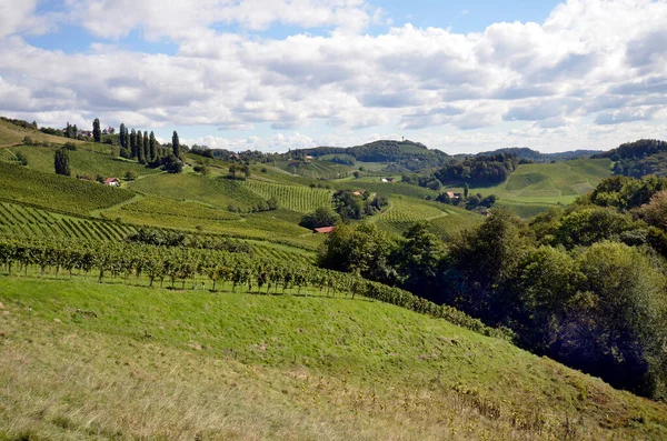 Austria Vineyards Steep Slopes Sulz Valley Located Styrian Wine Route — Stock Photo, Image
