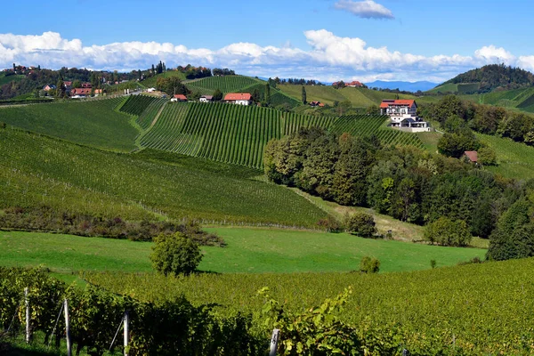 Rakousko Vinice Strmých Svazích Údolí Sulz Nachází Štýrské Vinařské Stezce — Stock fotografie