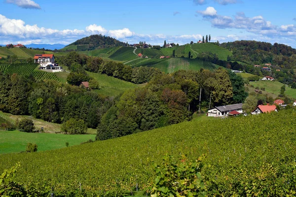 Áustria Vinhas Nas Encostas Íngremes Vale Sulz Localizado Rota Vinho — Fotografia de Stock