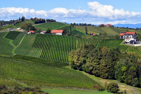 Ratsch Avusturya Eylül 2022 Slovenya Sınırına Yakın Styrian Şarap Rotasında — Stok fotoğraf